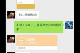 破产清算追讨债务：全面解析与应对之道