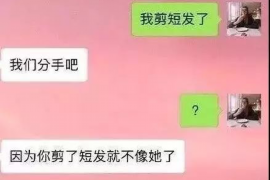 投诉律师打催收电话：了解法律权益，维护自身利益